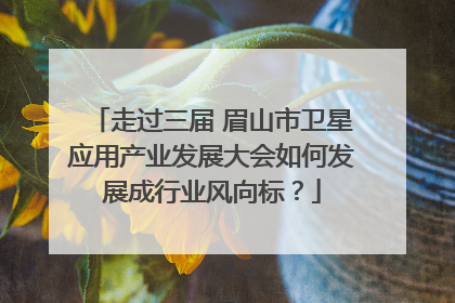 走过三届 眉山市卫星应用产业发展大会如何发展成行业风向标？